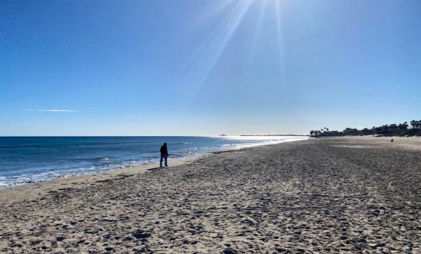 Resale - 1. Apartment / flat - Pilar de la Horadada - Costa Blanca South