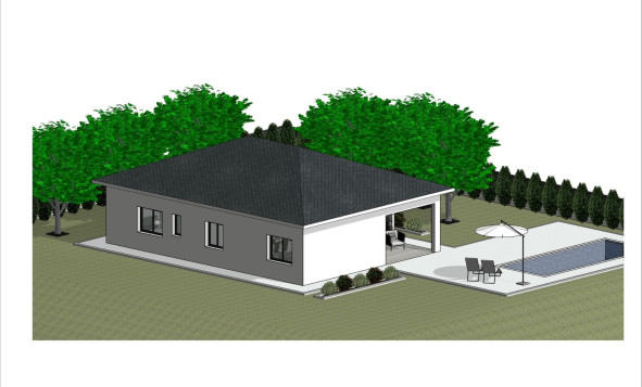 New Build - Villa - Pinoso