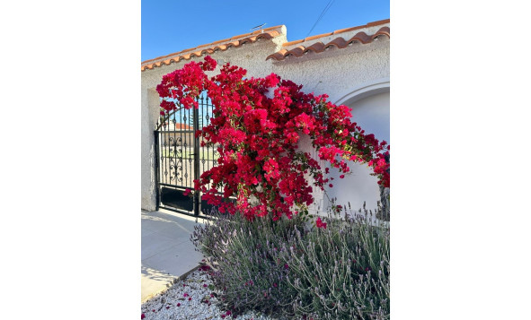 Herverkoop - 3. Halfvrijstaand huis - Torrevieja - Costa Blanca Zuid