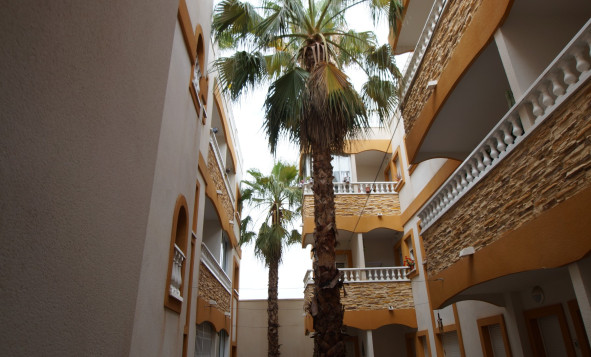 Reventa - 1. Apartamento / piso - Formentera del Segura - Costa Blanca Sur