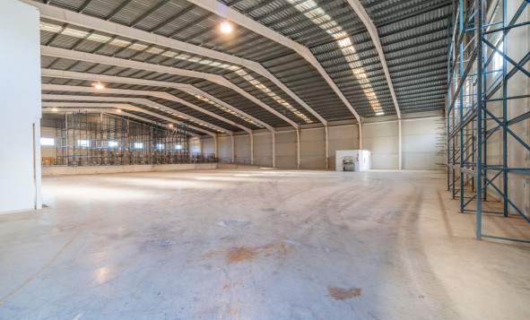 Lange termijn verhuur - Industrial unit - Pilar de la Horadada - Polígono industrial Cañada de Práez