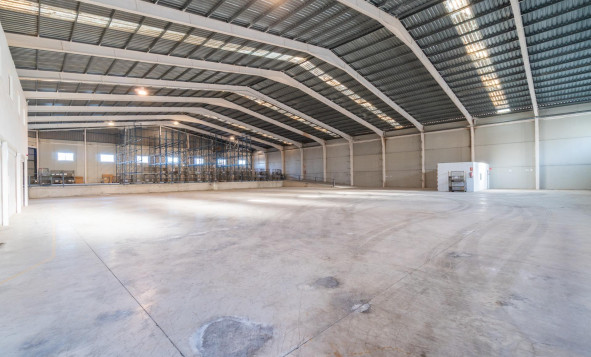 Lange termijn verhuur - Industrial unit - Pilar de la Horadada - Polígono industrial Cañada de Práez