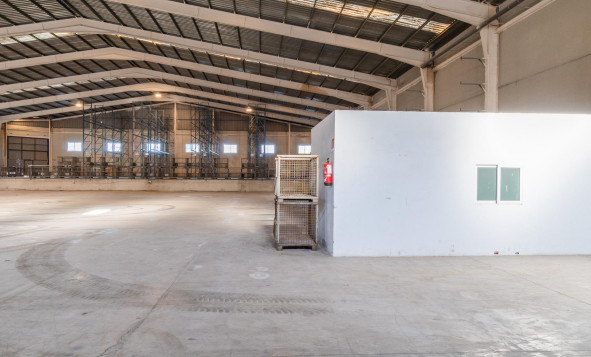 Lange termijn verhuur - Industrial unit - Pilar de la Horadada - Polígono industrial Cañada de Práez