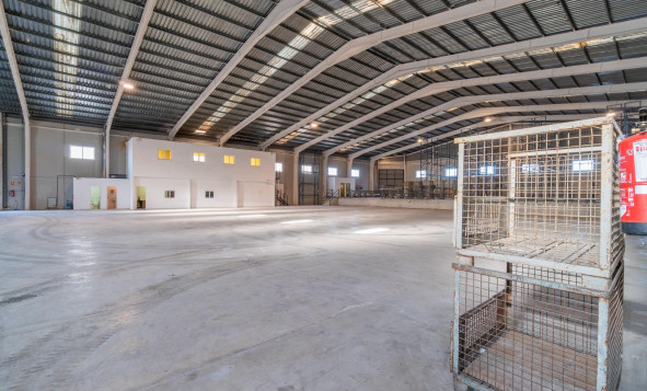 Lange termijn verhuur - Industrial unit - Pilar de la Horadada - Polígono industrial Cañada de Práez