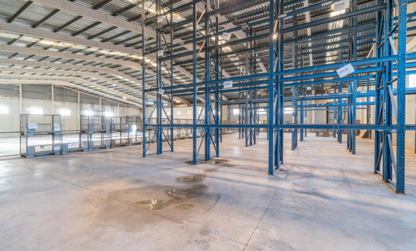 Lange termijn verhuur - Industrial unit - Pilar de la Horadada - Polígono industrial Cañada de Práez