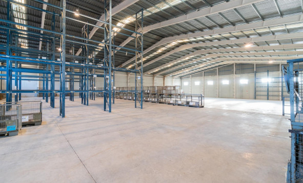 Lange termijn verhuur - Industrial unit - Pilar de la Horadada - Polígono industrial Cañada de Práez