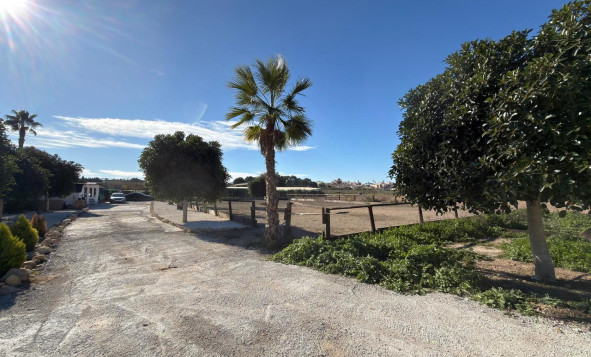 Herverkoop - Bouwgrond - Algorfa - Costa Blanca Zuid