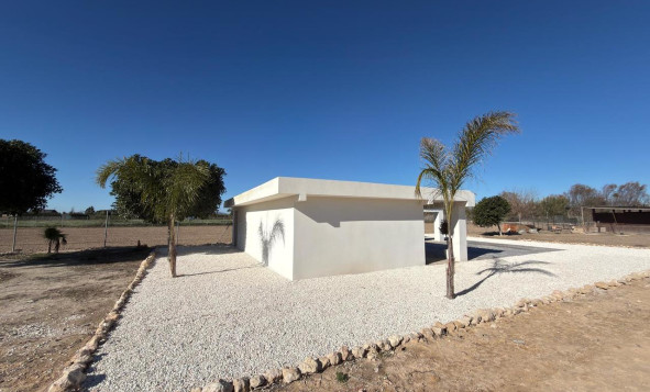 Herverkoop - Bouwgrond - Algorfa - Costa Blanca Zuid