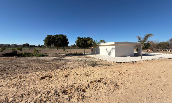 Herverkoop - Bouwgrond - Algorfa - Costa Blanca Zuid