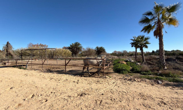 Herverkoop - Bouwgrond - Algorfa - Costa Blanca Zuid