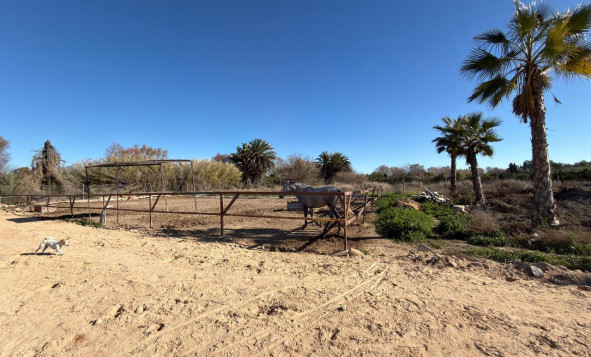 Herverkoop - Bouwgrond - Algorfa - Costa Blanca Zuid