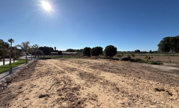 Herverkoop - Bouwgrond - Algorfa - Costa Blanca Zuid