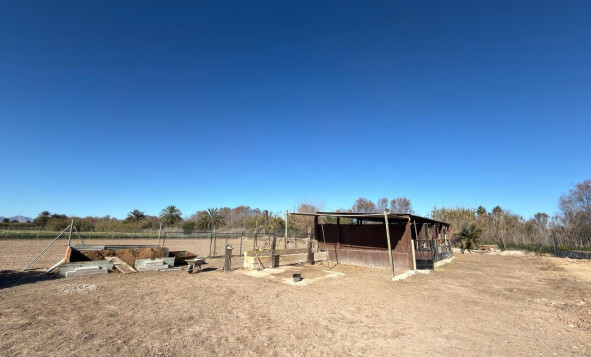 Herverkoop - Bouwgrond - Algorfa - Costa Blanca Zuid