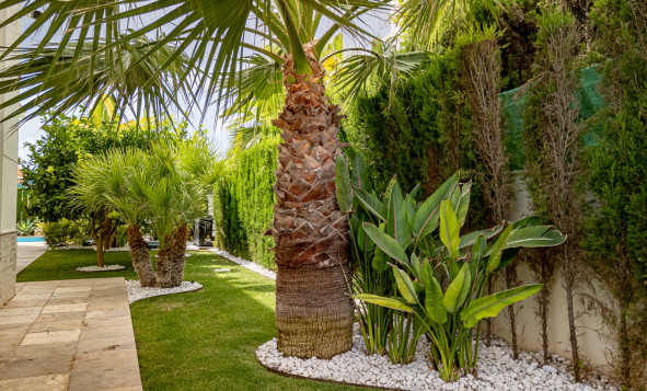 Resale - 3. Semi-detached house - La Zenia - Costa Blanca South