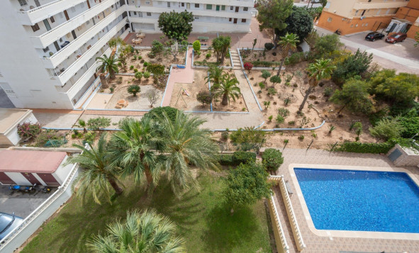 Reventa - 1. Apartamento / piso - Torrevieja - Costa Blanca Sur