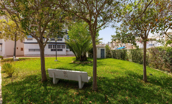 Reventa - 1. Apartamento / piso - Torrevieja - Costa Blanca Sur