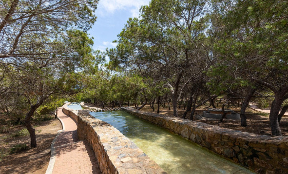 Reventa - 1. Apartamento / piso - Torrevieja - Costa Blanca Sur