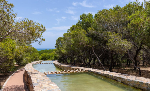 Reventa - 1. Apartamento / piso - Torrevieja - Costa Blanca Sur