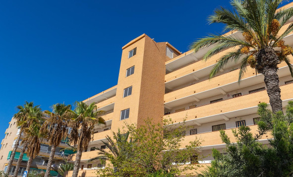 Herverkoop - 1. Appartement / flat - Guardamar del Segura - Costa Blanca Zuid