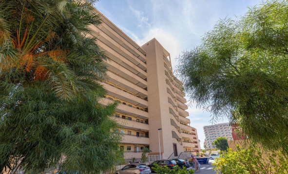 Herverkoop - 1. Appartement / flat - Torrevieja - Costa Blanca Zuid