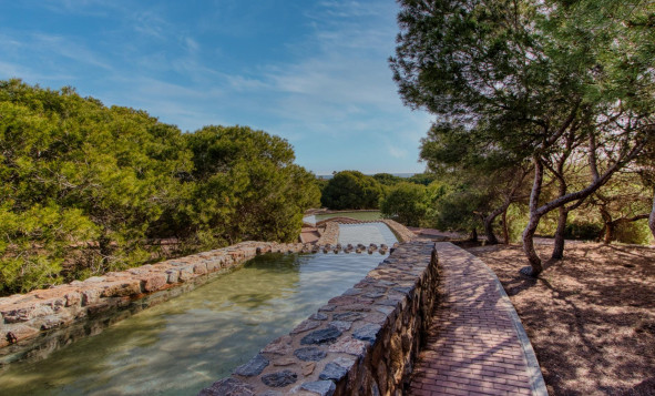 Resale - 1. Apartment / flat - Torrevieja - Costa Blanca South