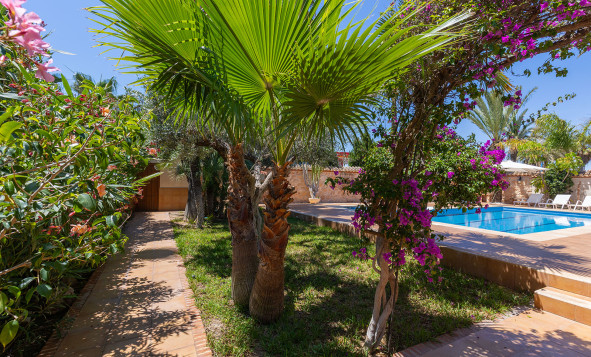 Resale - 3. Semi-detached house - Orihuela Costa - Costa Blanca South