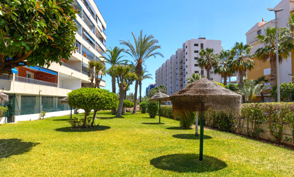 Herverkoop - 1. Appartement / flat - Torrevieja - Rocio del Mar