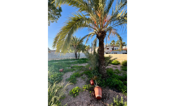 Herverkoop - 3. Halfvrijstaand huis - Torrevieja - Costa Blanca Zuid