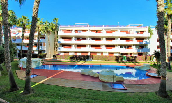 Herverkoop - 1. Appartement / flat - Playa Flamenca - Costa Blanca Zuid