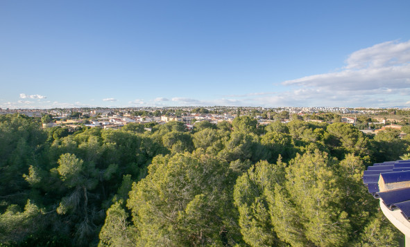 Herverkoop - 1. Appartement / flat - Lomas de Cabo Roig - Costa Blanca Zuid