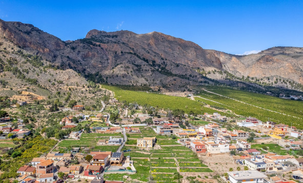 Reventa - 7. Finca - Orihuela - Raiguero de Bonanza