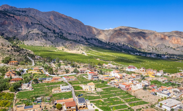 Reventa - 7. Finca - Orihuela - Raiguero de Bonanza