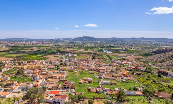 Reventa - 7. Finca - Orihuela - Raiguero de Bonanza