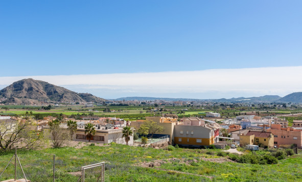 Reventa - 7. Finca - Orihuela - Raiguero de Bonanza
