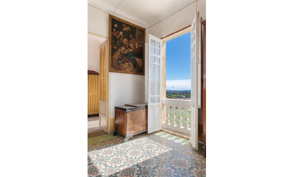 Reventa - 7. Finca - Orihuela - Raiguero de Bonanza