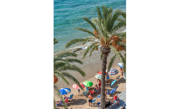 Herverkoop - 1. Appartement / flat - Torrevieja - Costa Blanca Zuid