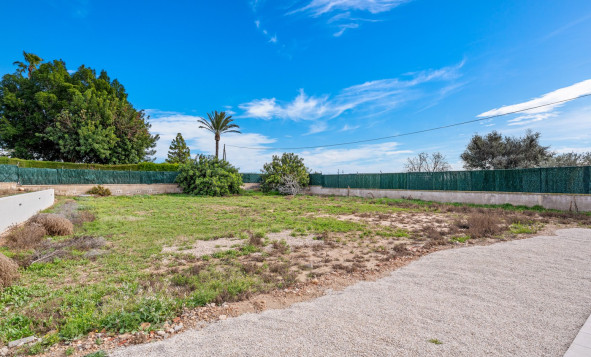 Herverkoop - 7. Finca / landhuis - Elche - Costa Blanca Zuid