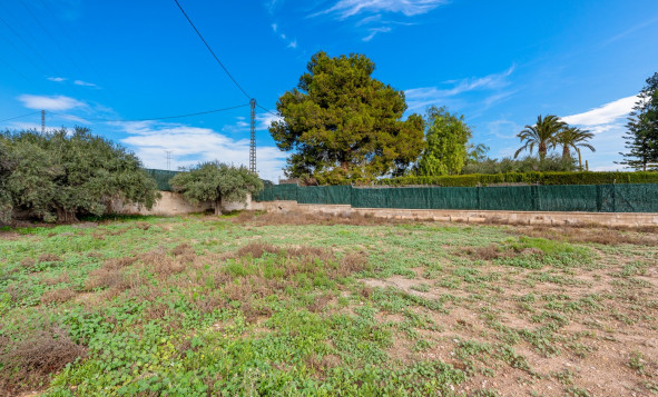 Herverkoop - 7. Finca / landhuis - Elche - Costa Blanca Zuid