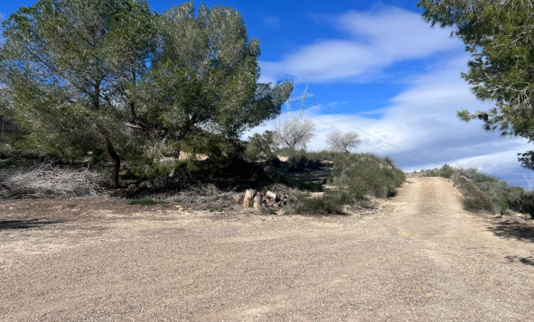Resale - 7. Finca / Country property - Torremendo - Costa Blanca South