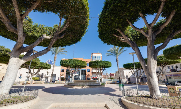 Nieuwbouw woningen - 1. Appartement / flat - San Fulgencio - Costa Blanca Zuid