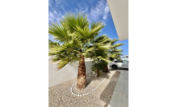 Herverkoop - 3. Vrijstaande villa - Benijófar - Costa Blanca Zuid