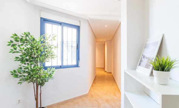 Herverkoop - 1. Appartement / flat - Torrevieja - Costa Blanca Zuid