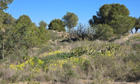 Resale - 1. Apartment / flat - Orihuela Costa - Costa Blanca South