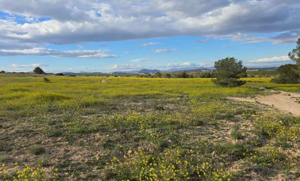 Resale - 1. Apartment / flat - Orihuela Costa - Costa Blanca South