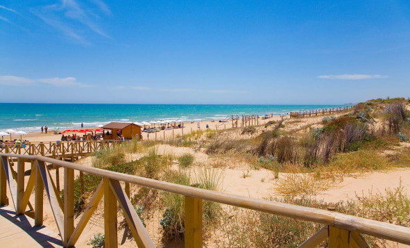 Obra nueva - 1. Apartamento / piso - Guardamar del Segura - Costa Blanca Sur