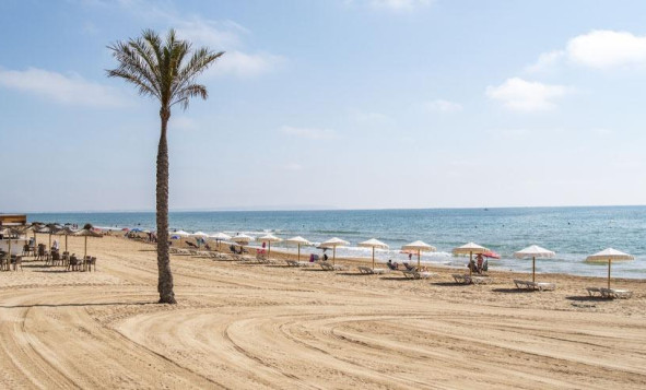 Obra nueva - 1. Apartamento / piso - Guardamar del Segura - Costa Blanca Sur