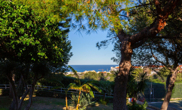 Herverkoop - 1. Appartement / flat - Torrevieja - Costa Blanca Zuid