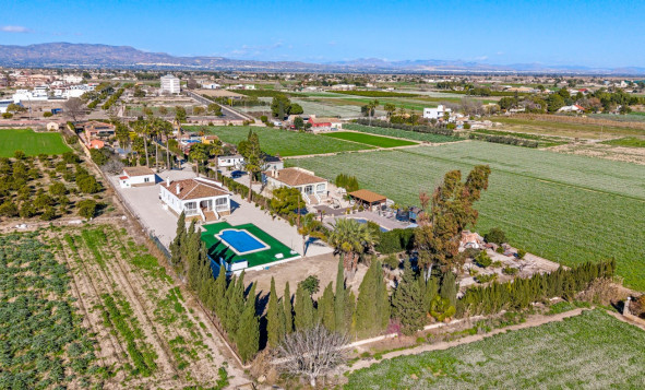 Herverkoop - 7. Finca / landhuis - Dolores - Dolores - Country