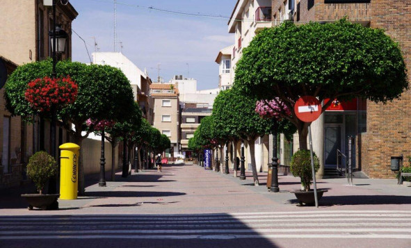 Obra nueva - Villa - Torre Pacheco - Balsicas