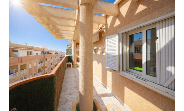 Herverkoop - 1. Appartement / flat - Torrevieja - Costa Blanca Zuid